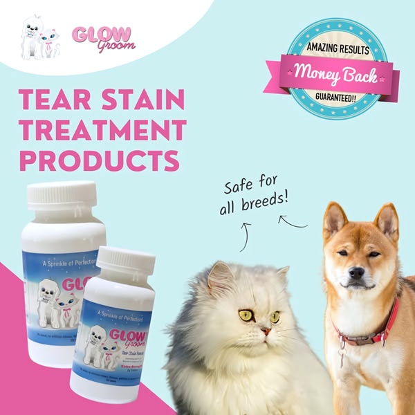 A 1:1 format ad creative for Glow Groom tear stain treatment featuring clear product placement, animal models, and a money-back guarantee badge.